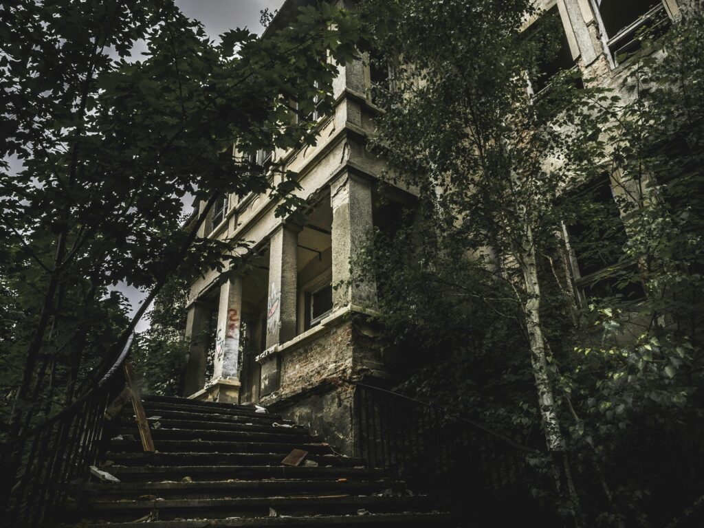 Black Concrete Staircase Beside Trees