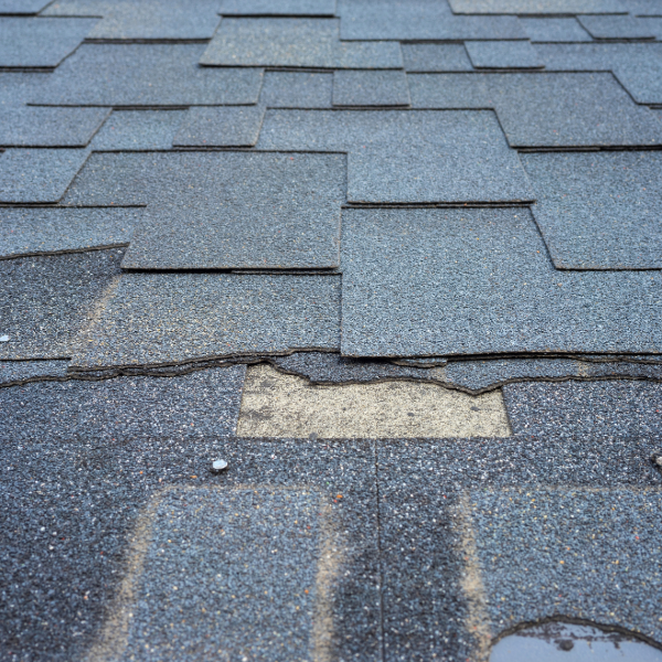 roofing companies in michigan identifying roof damage